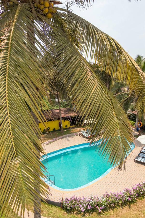 Dona Julia Beach Resort Калангут Екстер'єр фото